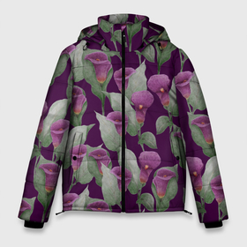 Мужская зимняя куртка 3D с принтом Фиолетовые каллы на темно фиолетовом фоне , верх — 100% полиэстер; подкладка — 100% полиэстер; утеплитель — 100% полиэстер | длина ниже бедра, свободный силуэт Оверсайз. Есть воротник-стойка, отстегивающийся капюшон и ветрозащитная планка. 

Боковые карманы с листочкой на кнопках и внутренний карман на молнии. | 8 марта | buds | calla lilies | flowers | leaves | бутоны | весна | зеленый | каллы | лето | листья | праздник | природа | растения | фиолетовый | флора | цветы