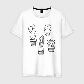 Мужская футболка хлопок с принтом Дудл кактусы в горшочках в Кировске, 100% хлопок | прямой крой, круглый вырез горловины, длина до линии бедер, слегка спущенное плечо. | в горшочках | домашнее растение | дудл | кактусы | колючки | скетч | суккуленты | цветок
