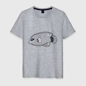 Мужская футболка хлопок с принтом Красивая рыбка , 100% хлопок | прямой крой, круглый вырез горловины, длина до линии бедер, слегка спущенное плечо. | животное | море | морской | рыба | рыбка