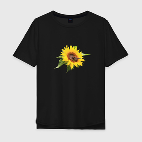 Мужская футболка хлопок Oversize с принтом Бабочка на цветке подсолнуха в Тюмени, 100% хлопок | свободный крой, круглый ворот, “спинка” длиннее передней части | bright | brown | butterfly | flower | insect | large | nature | peacock eye | photography | plant | spring | summer | sun | sunflower | yellow | бабочка | большой | весна | желтый | коричневая | крупный | лето | насекомое | павлиний глаз | подсолнух | при