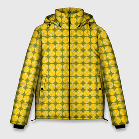 Мужская зимняя куртка 3D с принтом Теннисные Мячи в Тюмени, верх — 100% полиэстер; подкладка — 100% полиэстер; утеплитель — 100% полиэстер | длина ниже бедра, свободный силуэт Оверсайз. Есть воротник-стойка, отстегивающийся капюшон и ветрозащитная планка. 

Боковые карманы с листочкой на кнопках и внутренний карман на молнии. | a game | atp | ball | itf | sport | tennis | wta | игра | кубок дэвиса | кубок кремля | кубок уайтмен | кубок федерации | кубок хопмана | ракетка | соревнования | спорт | теннис | теннисный клуб | теннисный мяч