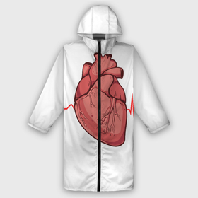 Дождевик унисекс 3D с принтом анатомия сердца в городе Новоалтайск,  |  | heart | medical | настоящее | орган | сердце