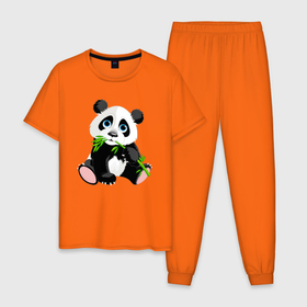 Мужская пижама хлопок с принтом Забавный медвежонок Панда в Новосибирске, 100% хлопок | брюки и футболка прямого кроя, без карманов, на брюках мягкая резинка на поясе и по низу штанин
 | Тематика изображения на принте: bamboo | claws | cutie | ears | eyes | muzzle | nose | panda | paws | teddy bear | бамбук | глаза | когти | лапы | медвежонок | милашка | мордочка | нос | панда