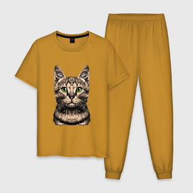 Мужская пижама хлопок с принтом Нарисованный бенгальский кот в Тюмени, 100% хлопок | брюки и футболка прямого кроя, без карманов, на брюках мягкая резинка на поясе и по низу штанин
 | bengal cat | cat | бенгальский кот | животные | кошка