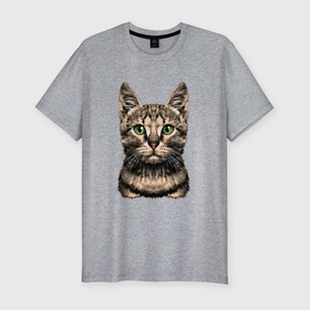 Мужская футболка хлопок Slim с принтом Нарисованный бенгальский кот в Курске, 92% хлопок, 8% лайкра | приталенный силуэт, круглый вырез ворота, длина до линии бедра, короткий рукав | bengal cat | cat | бенгальский кот | животные | кошка