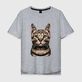 Мужская футболка хлопок Oversize с принтом Нарисованный бенгальский кот , 100% хлопок | свободный крой, круглый ворот, “спинка” длиннее передней части | bengal cat | cat | бенгальский кот | животные | кошка
