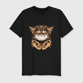 Мужская футболка хлопок Slim с принтом Котёнок Тойгер в Белгороде, 92% хлопок, 8% лайкра | приталенный силуэт, круглый вырез ворота, длина до линии бедра, короткий рукав | cats | kitty | котёнок | кошка | тойгер