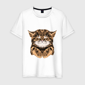 Мужская футболка хлопок с принтом Котёнок Тойгер в Санкт-Петербурге, 100% хлопок | прямой крой, круглый вырез горловины, длина до линии бедер, слегка спущенное плечо. | cats | kitty | котёнок | кошка | тойгер