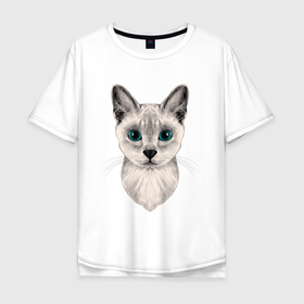 Мужская футболка хлопок Oversize с принтом Сингапурская кошка в Тюмени, 100% хлопок | свободный крой, круглый ворот, “спинка” длиннее передней части | baby cat | cats | kitty | singapura cat | сингапурская кошка