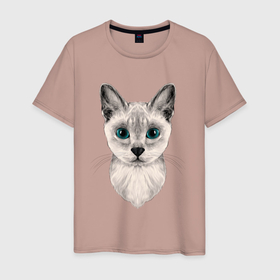 Мужская футболка хлопок с принтом Сингапурская кошка в Тюмени, 100% хлопок | прямой крой, круглый вырез горловины, длина до линии бедер, слегка спущенное плечо. | baby cat | cats | kitty | singapura cat | сингапурская кошка