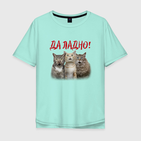 Мужская футболка хлопок Oversize с принтом Да ладно в Белгороде, 100% хлопок | свободный крой, круглый ворот, “спинка” длиннее передней части | amazement | cat | ears | eyes | hype | kitten | глаза | изумление | кот | котёнок | кошка | уши | хайп