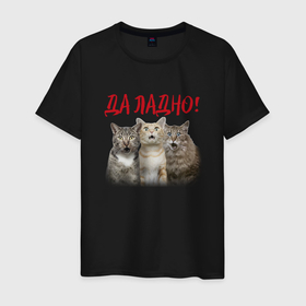 Мужская футболка хлопок с принтом Да ладно в Екатеринбурге, 100% хлопок | прямой крой, круглый вырез горловины, длина до линии бедер, слегка спущенное плечо. | amazement | cat | ears | eyes | hype | kitten | глаза | изумление | кот | котёнок | кошка | уши | хайп