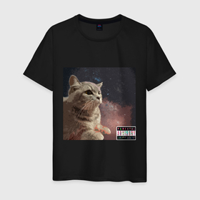 Мужская футболка хлопок с принтом Miska In The Space в Тюмени, 100% хлопок | прямой крой, круглый вырез горловины, длина до линии бедер, слегка спущенное плечо. | животные | космос | кошки | мишка кот | пушистик | туманность | фантазия