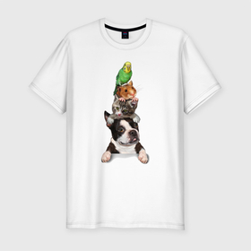 Мужская футболка хлопок Slim с принтом Прикольная пирамида в Белгороде, 92% хлопок, 8% лайкра | приталенный силуэт, круглый вырез ворота, длина до линии бедра, короткий рукав | bulldog | dog | hamster | kitten | parrot | pyramid | бульдог | котёнок | пирамида | попугай | собака | хомяк
