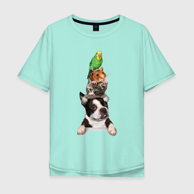 Мужская футболка хлопок Oversize с принтом Прикольная пирамида в Курске, 100% хлопок | свободный крой, круглый ворот, “спинка” длиннее передней части | bulldog | dog | hamster | kitten | parrot | pyramid | бульдог | котёнок | пирамида | попугай | собака | хомяк
