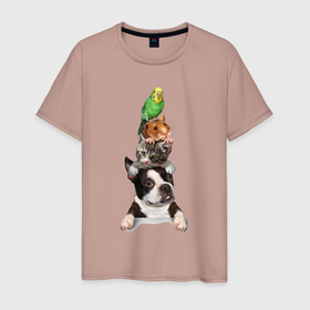 Мужская футболка хлопок с принтом Прикольная пирамида в Белгороде, 100% хлопок | прямой крой, круглый вырез горловины, длина до линии бедер, слегка спущенное плечо. | bulldog | dog | hamster | kitten | parrot | pyramid | бульдог | котёнок | пирамида | попугай | собака | хомяк
