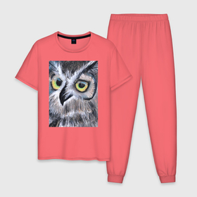Мужская пижама хлопок с принтом Взгляд жёлтых глаз лесной совы в Кировске, 100% хлопок | брюки и футболка прямого кроя, без карманов, на брюках мягкая резинка на поясе и по низу штанин
 | акварель | глаза | карандаш | пастель | птицы | рисунок | сова