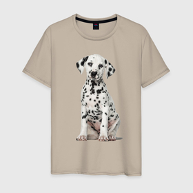 Мужская футболка хлопок с принтом Well, just a cutie в Новосибирске, 100% хлопок | прямой крой, круглый вырез горловины, длина до линии бедер, слегка спущенное плечо. | cutie | dalmatian | dog | ears | muzzle | paws | puppy | глаза | далматинец | лапы | милашка | мордочка | пёс | собака | уши | щенок