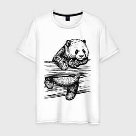Мужская футболка хлопок с принтом Панда лезет через забор в Курске, 100% хлопок | прямой крой, круглый вырез горловины, длина до линии бедер, слегка спущенное плечо. | Тематика изображения на принте: bear | muzzle | panda | paws | лапы | медведь | панда