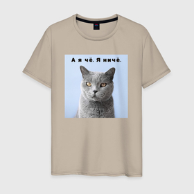 Мужская футболка хлопок с принтом Котик Ничё в Белгороде, 100% хлопок | прямой крой, круглый вырез горловины, длина до линии бедер, слегка спущенное плечо. | а ты чё а ты ничё | домашние животные | кот | кот мем | котейка | котик | котики | мемный кот | милота | пушистики | смешной кот | упоротые коты