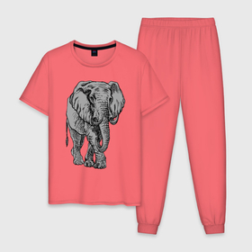 Мужская пижама хлопок с принтом Огромный могучий слон в Белгороде, 100% хлопок | брюки и футболка прямого кроя, без карманов, на брюках мягкая резинка на поясе и по низу штанин
 | Тематика изображения на принте: ears | elephant | giant | tusks | бивни | гигант | слон | уши