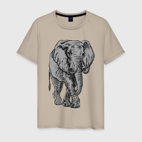 Мужская футболка хлопок с принтом Огромный могучий слон в Белгороде, 100% хлопок | прямой крой, круглый вырез горловины, длина до линии бедер, слегка спущенное плечо. | Тематика изображения на принте: ears | elephant | giant | tusks | бивни | гигант | слон | уши