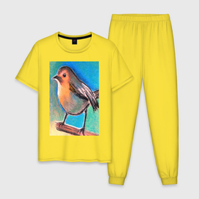 Мужская пижама хлопок с принтом Рисунок пастелью птица синица в Тюмени, 100% хлопок | брюки и футболка прямого кроя, без карманов, на брюках мягкая резинка на поясе и по низу штанин
 | акварель | дизайнер | пастель | подарить | подарок | рисунок | художник