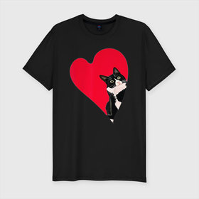 Мужская футболка хлопок Slim с принтом Кот в валентинке в Екатеринбурге, 92% хлопок, 8% лайкра | приталенный силуэт, круглый вырез ворота, длина до линии бедра, короткий рукав | 14 | 8 | all | cat | day | eighth | february | heart | in | love | lovers | march | saint | valentine | в | валентина | валентинке | влюбленных | восьмое | всех | день | кот | кошка | любовь | марта | святого | сердце | февраля