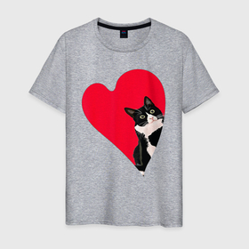 Мужская футболка хлопок с принтом Кот в валентинке в Белгороде, 100% хлопок | прямой крой, круглый вырез горловины, длина до линии бедер, слегка спущенное плечо. | 14 | 8 | all | cat | day | eighth | february | heart | in | love | lovers | march | saint | valentine | в | валентина | валентинке | влюбленных | восьмое | всех | день | кот | кошка | любовь | марта | святого | сердце | февраля