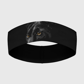 Повязка на голову 3D с принтом Пантера во мгле в Екатеринбурге,  |  | кошка | ночь | пантера | темното | черная пантера