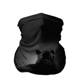 Бандана-труба 3D с принтом Пантера в лучах света в Белгороде, 100% полиэстер, ткань с особыми свойствами — Activecool | плотность 150‒180 г/м2; хорошо тянется, но сохраняет форму | Тематика изображения на принте: дикие | животные | звери | кошка | пантера | природа | черная пантера