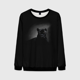 Мужской свитшот 3D с принтом Пантера в лучах света в Белгороде, 100% полиэстер с мягким внутренним слоем | круглый вырез горловины, мягкая резинка на манжетах и поясе, свободная посадка по фигуре | дикие | животные | звери | кошка | пантера | природа | черная пантера