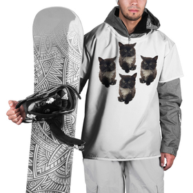Накидка на куртку 3D с принтом Чмоня в Петрозаводске, 100% полиэстер |  | животные | кот | котики | коты | мем | мем 2022 | мемы | тренд