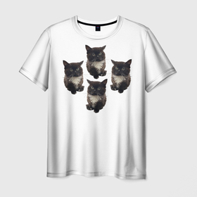 Мужская футболка 3D с принтом Чмоня , 100% полиэфир | прямой крой, круглый вырез горловины, длина до линии бедер | Тематика изображения на принте: животные | кот | котики | коты | мем | мем 2022 | мемы | тренд