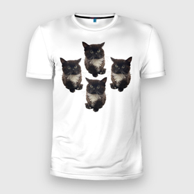Мужская футболка 3D Slim с принтом Чмоня в Петрозаводске, 100% полиэстер с улучшенными характеристиками | приталенный силуэт, круглая горловина, широкие плечи, сужается к линии бедра | животные | кот | котики | коты | мем | мем 2022 | мемы | тренд