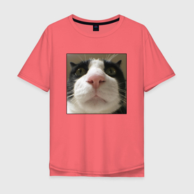 Мужская футболка хлопок Oversize с принтом Задумчивый кот в Курске, 100% хлопок | свободный крой, круглый ворот, “спинка” длиннее передней части | animal | cat | домашние животные | животные | звери | кот | коты | кошка | кошки | смешной кот