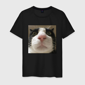 Мужская футболка хлопок с принтом Задумчивый кот в Кировске, 100% хлопок | прямой крой, круглый вырез горловины, длина до линии бедер, слегка спущенное плечо. | animal | cat | домашние животные | животные | звери | кот | коты | кошка | кошки | смешной кот