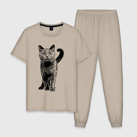 Мужская пижама хлопок с принтом Красивый котик в Петрозаводске, 100% хлопок | брюки и футболка прямого кроя, без карманов, на брюках мягкая резинка на поясе и по низу штанин
 | животное | животные | кот | котик | кошечка | кошка | кыця | пушистик