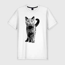 Мужская футболка хлопок Slim с принтом Красивый котик в Тюмени, 92% хлопок, 8% лайкра | приталенный силуэт, круглый вырез ворота, длина до линии бедра, короткий рукав | животное | животные | кот | котик | кошечка | кошка | кыця | пушистик