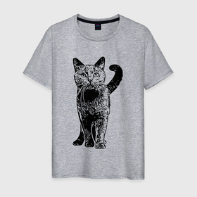Мужская футболка хлопок с принтом Красивый котик в Екатеринбурге, 100% хлопок | прямой крой, круглый вырез горловины, длина до линии бедер, слегка спущенное плечо. | животное | животные | кот | котик | кошечка | кошка | кыця | пушистик