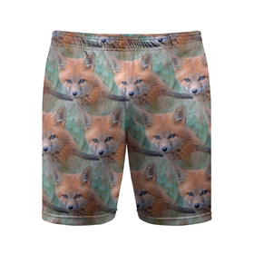 Мужские шорты спортивные с принтом Лисица паттерн в Тюмени,  |  | fox | лиса | лисица | лисичка | лисички | лисы | паттерн