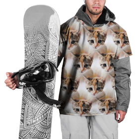 Накидка на куртку 3D с принтом Маленький котенок паттерн в Новосибирске, 100% полиэстер |  | кот | котенок | котик | котики | кошка | паттерн