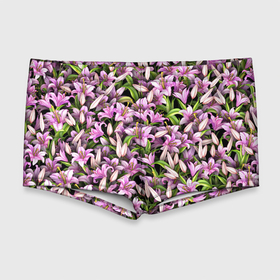 Мужские купальные плавки 3D с принтом Лилии цветут в Тюмени, Полиэстер 85%, Спандекс 15% |  | 8 марта | букет | клумба | лилия | паттерн | цветочки | цветы