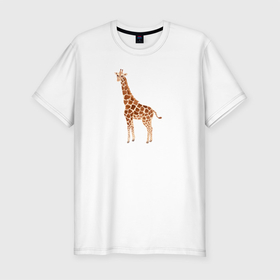 Мужская футболка хлопок Slim с принтом Любопытный жираф в Новосибирске, 92% хлопок, 8% лайкра | приталенный силуэт, круглый вырез ворота, длина до линии бедра, короткий рукав | африка | африканские животные | животные | жираф | экзотические животны