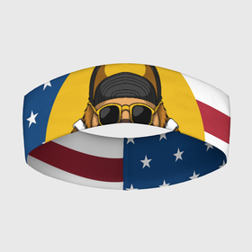 Повязка на голову 3D с принтом Ленивец на фоне Американского флага в Новосибирске,  |  | folivora | американский флаг | зверь | лежебок | лежебока | ленивцы | лентяй | листоеды | лодырь | млекопитающее