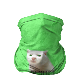 Бандана-труба 3D с принтом Приемлемо кот мем в Новосибирске, 100% полиэстер, ткань с особыми свойствами — Activecool | плотность 150‒180 г/м2; хорошо тянется, но сохраняет форму | белый кот | зеленый | киска | кот | кот мем | кот приемлемо | котейка | котик | котэ | кошка | мятая бумага | преемлемо | приемлемо | салатовый