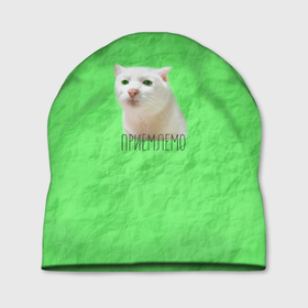 Шапка 3D с принтом Приемлемо кот мем в Белгороде, 100% полиэстер | универсальный размер, печать по всей поверхности изделия | белый кот | зеленый | киска | кот | кот мем | кот приемлемо | котейка | котик | котэ | кошка | мятая бумага | преемлемо | приемлемо | салатовый