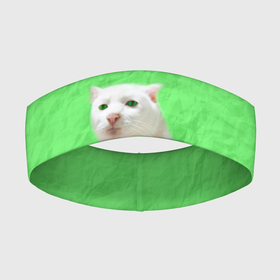 Повязка на голову 3D с принтом Приемлемо кот мем в Санкт-Петербурге,  |  | белый кот | зеленый | киска | кот | кот мем | кот приемлемо | котейка | котик | котэ | кошка | мятая бумага | преемлемо | приемлемо | салатовый