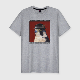 Мужская футболка хлопок Slim с принтом Сапсан (Флэш) в Белгороде, 92% хлопок, 8% лайкра | приталенный силуэт, круглый вырез ворота, длина до линии бедра, короткий рукав | джей гаррик | птицы | птицы в шляпах | сапсан | сокол | флэш