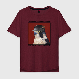 Мужская футболка хлопок Oversize с принтом Сапсан (Флэш) в Курске, 100% хлопок | свободный крой, круглый ворот, “спинка” длиннее передней части | джей гаррик | птицы | птицы в шляпах | сапсан | сокол | флэш